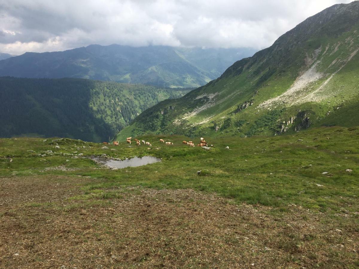 Appartement Muehlhaeusl Auffach Kültér fotó